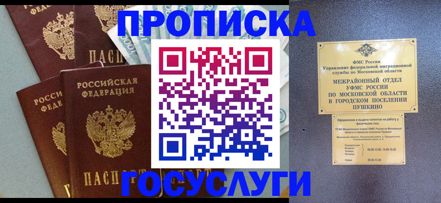прописка гарантия в Камышине